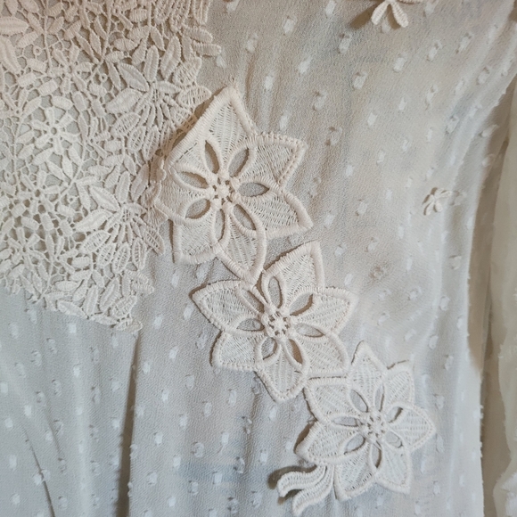 Zara Cream Ivory Swiss Dot Sheer Lace Blouse Tunic Sz M - Picture 3 of 9